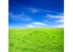 蓝天下一望无际的草地高清风景图片