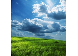 蓝天白云下的草地高清风景图片