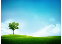 绿色原野上的绿色的树高清风景图片