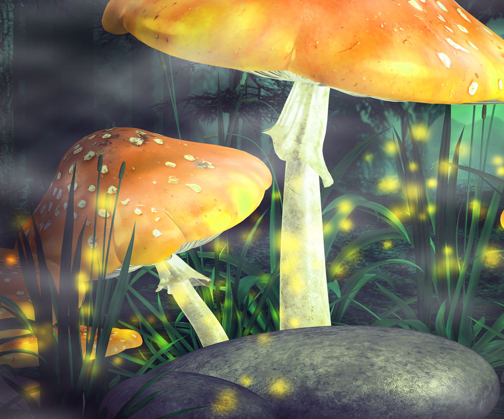 蘑菇背景图片素材下载,蘑菇背景图片,蘑菇,美丽风景,梦幻美景,草地
