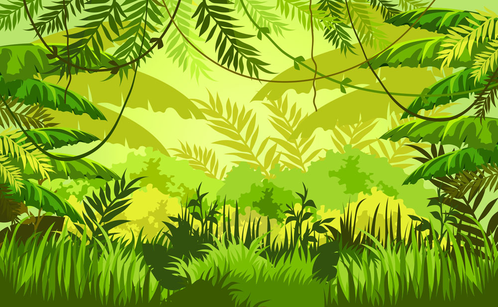 热带雨林插画