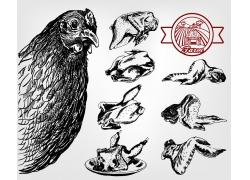 鸡与鸡制品手绘插图